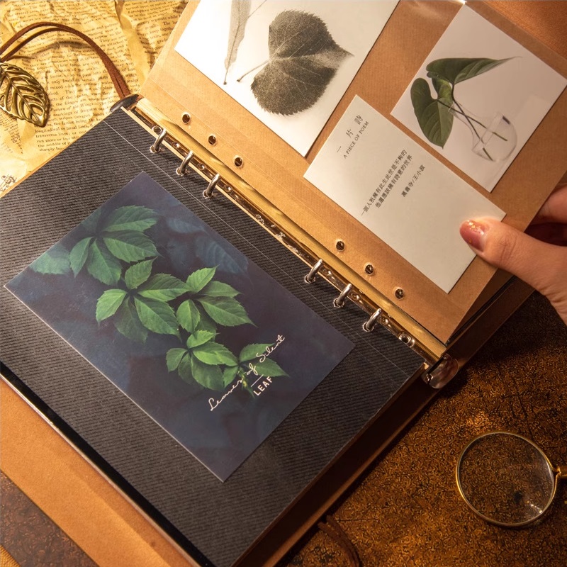 อัลบั้มรูปภาพ สมุดภาพ วินเทจย้ - Collectible Vintage Photos บทวิจารณ์และราคา